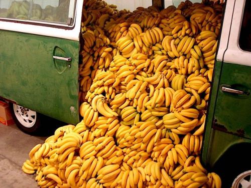 van full of bananas